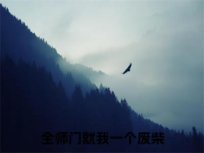 全师门就我一个废柴在线阅读(顾清汐小说)全文免费阅读无弹窗大结局_全师门就我一个废柴免费最新章节列表