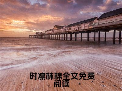  时凛林棉（为钱误入歧途？禁欲医生用爱救赎）全文免费阅读无弹窗大结局_ 时凛林棉最新章节列表