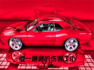 沈照江莱全文免费大结局-他一遍遍的伤害了小丫头结局在线阅读