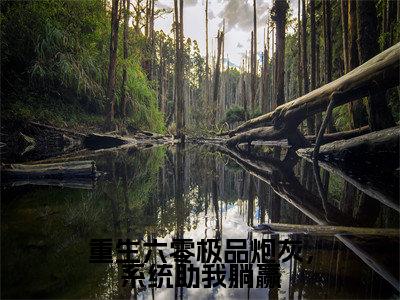 小说（重生六零极品炮灰，系统助我躺赢）江诗雅精选片段阅读-小说江诗雅免费版最新更新阅读