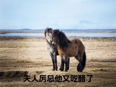 夫人厉总他又吃醋了(唐意欢厉墨衍)全文完整版免费阅读_唐意欢厉墨衍(夫人厉总他又吃醋了全文免费阅读)最新章节列表