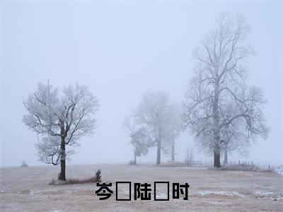 岑椀陆琤时全文免费无弹窗大结局_陆琤时岑椀免费岑椀陆琤时最新章节列表_笔趣阁