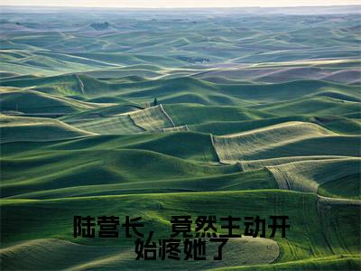 热门小说沈南央陆京衡 全文免费阅读无弹窗大结局-陆营长,竟然主动开始疼她了全文无弹窗免费阅读大结局