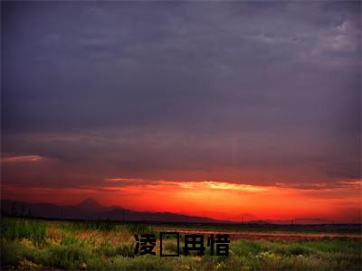 凌琤冉惜全文免费阅读无弹窗大结局_（冉惜凌琤）凌琤冉惜小说免费阅读完整版全文大结局