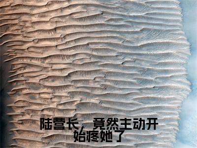 陆营长,竟然主动开始疼她了小说全文(沈南央陆京衡)全文免费阅读无弹窗大结局_陆营长,竟然主动开始疼她了全文免费阅读无弹窗最新章节列表