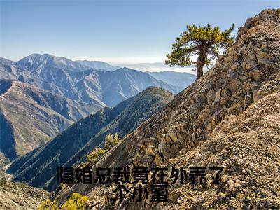 隐婚总裁竟在外养了个小蜜最新热门榜单小说-蒋为颜沈泊简全文无弹窗免费阅读大结局