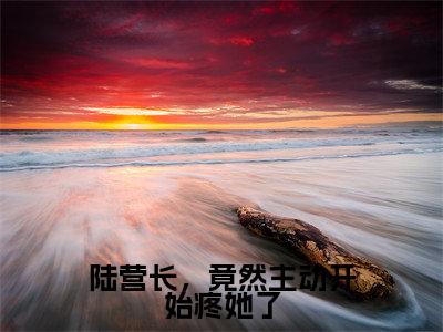 主角为陆京衡沈南央的小说(陆营长,竟然主动开始疼她了)大结局免费阅读-陆营长,竟然主动开始疼她了全文免费阅读笔趣阁