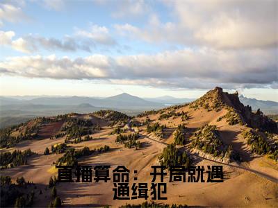 直播算命：开局就遇通缉犯小说全文免费阅读无弹窗大结局_（姜也免费阅读无弹窗）最新章节列表_笔趣阁