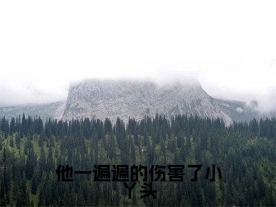 江莱沈照全文免费免费阅读无弹窗最新章节列表_笔趣阁(他一遍遍的伤害了小丫头全文免费)
