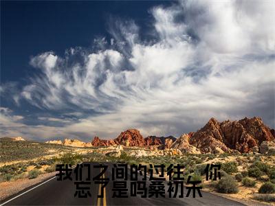 傅韫北桑初禾小说我们之间的过往,你忘了是吗桑初禾完整版全文在线赏析-小说傅韫北桑初禾全文大结局已完结