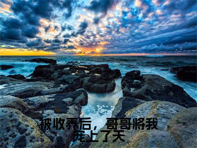 被收养后,哥哥将我宠上了天(许翊许希辞)全文免费阅读无弹窗_许翊许希辞最新小说_笔趣阁