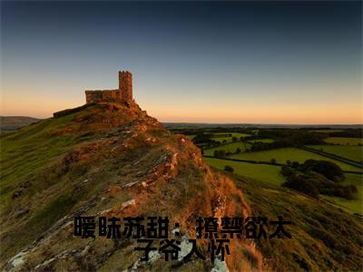 暧昧苏甜：撩禁欲太子爷入怀小说（ 靳沉寒孟洛柠）全文免费阅读-暧昧苏甜：撩禁欲太子爷入怀全文阅读无弹窗