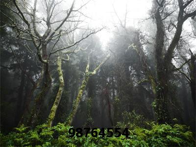 顾清衍苏迩(98764554)全文免费阅读无弹窗大结局_顾清衍苏迩98764554最新章节列表_笔趣阁