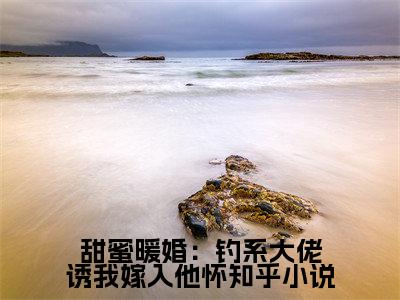 甜蜜暖婚：钓系大佬诱我嫁入他怀（ 温絮江衍)全文免费阅读无弹窗大结局_甜蜜暖婚：钓系大佬诱我嫁入他怀最新章节列表_笔趣阁
