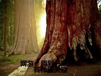 网游：回到开服前我有神级天赋 林天浩周小胖完整全文在线阅读  林天浩周小胖抖音热推小说全集无删减