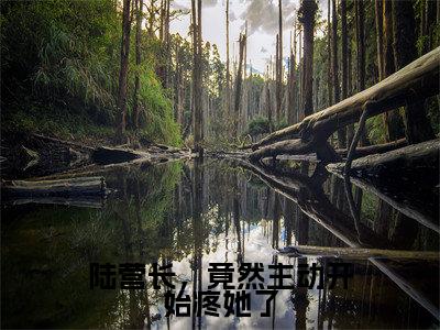 沈南央陆京衡(陆营长,竟然主动开始疼她了)全文免费阅读大结局-沈南央陆京衡最新章节列表笔趣阁