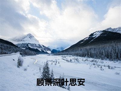 顾景深叶思安多人追的小说在哪里可以看 叶思安顾景深小说免费阅读全章节