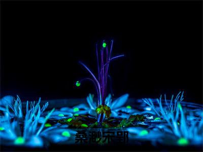 宋郢桑渺(桑渺宋郢)全文免费阅读_(桑渺宋郢)宋郢桑渺最新章节小说免费阅读_笔趣阁