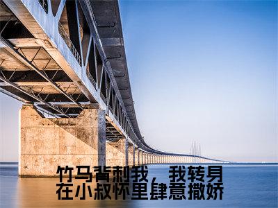 阮楼周斯越(竹马背刺我,我转身在小叔怀里肆意撒娇)全文免费阅读无弹窗大结局_(阮楼周斯越免费阅读)竹马背刺我,我转身在小叔怀里肆意撒娇无弹窗最新章节列表