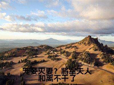 宠妾灭妻?将军夫人和离不干了(袁雪玥戴奕弦小说)在线阅读全文-袁雪玥戴奕弦小说免费阅读完结版全文