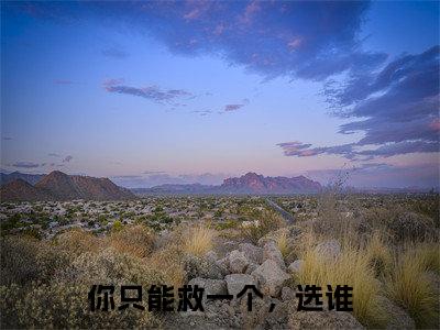 姜瓷周温宴小说全文免费阅读-你只能救一个，选谁在线阅读的小说完整版