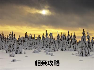 相亲攻略（苏启）全文免费阅读无弹窗大结局_相亲攻略全文免费阅读无弹窗最新章节列表笔趣阁（苏启）