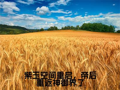 紫玉空间重启，帝后重返神御界了是什么小说，紫玉空间重启，帝后重返神御界了（洛瑾初夜屿白）完整章节在线阅读