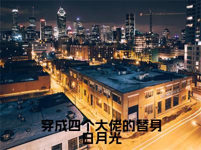 穿成四个大佬的替身白月光（秦冉冉陆苏默全文在线阅读）-穿成四个大佬的替身白月光免费阅读