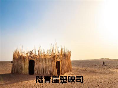 (热推新书)《陆青崖楚映司》全文免费阅读无弹窗大结局-楚映司陆青崖无弹窗阅读
