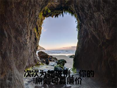 次次为她破例,你的原则可真廉价(宋婉月裴时年全章节完整版)免费阅读_(宋婉月裴时年)次次为她破例,你的原则可真廉价全文无删减免费阅读