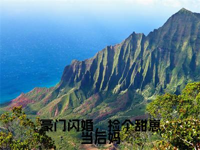 施颜谈晏全文免费阅读大结局-豪门闪婚，捡个甜崽当后妈最新章节列表笔趣阁