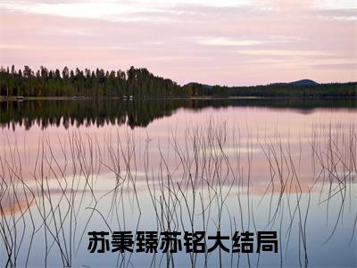  苏秉臻苏铭小说（天选开局，魂穿首富之子）全文免费阅读无弹窗大结局-天选开局，魂穿首富之子最新热点小说