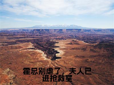 霍临远程栀（霍总别虐了，夫人已进抢救室）女生必看小说全集_霍总别虐了，夫人已进抢救室（霍临远程栀）全文免费阅读