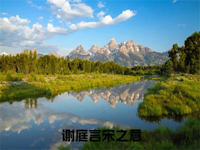 想加谢医生微信，他说不可以 谢庭言宋之意多人追免费无弹窗小说, 谢庭言宋之意已完结全集大结局
