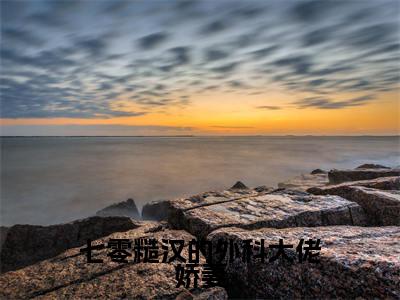 七零糙汉的外科大佬娇妻小说（沈安安）精彩免费小说_七零糙汉的外科大佬娇妻全文免费阅读无弹窗大结局笔趣阁