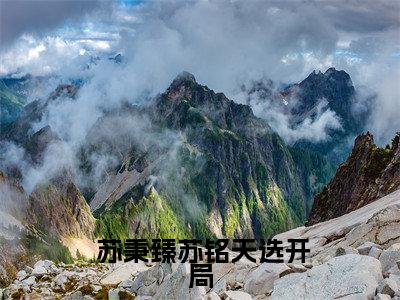  苏秉臻苏铭（天选开局，魂穿首富之子）最后结局如何-最火热点小说天选开局，魂穿首富之子最新更新