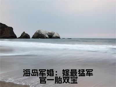 海岛军婚：嫁最猛军官一胎双宝（林渔米陆听白）全文免费阅读无弹窗_（海岛军婚：嫁最猛军官一胎双宝小说免费阅读）最新章节列表笔趣阁