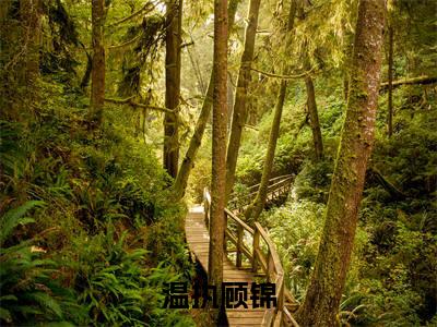 温执顾锦(顾锦温执)全文免费大结局小说-温执顾锦全文最新章节阅读