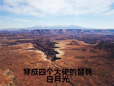 秦冉冉陆苏默的小说（穿成四个大佬的替身白月光）免费阅读_秦冉冉陆苏默小说免费阅读-笔趣阁