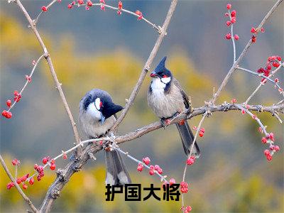 护国大将(高贺)全文免费大结局,护国大将结局在线阅读