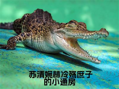 庶子的小通房（ 苏清婉林冷殇）精选好书- 苏清婉林冷殇无删减小说在线阅读（庶子的小通房全文免费阅读）