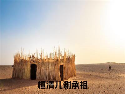 檀清儿谢承祖小说最新试读_谢承祖檀清儿小说名是(檀清儿谢承祖)_笔趣阁