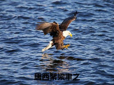 唐西絮梁聿之(唐西絮梁聿之)全文免费阅读无弹窗大结局_唐西絮梁聿之最新章节列表