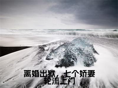 小说离婚出狱，七个娇妻轮流上门免费阅读-（叶扬）离婚出狱，七个娇妻轮流上门最新章节小说阅读-笔趣阁