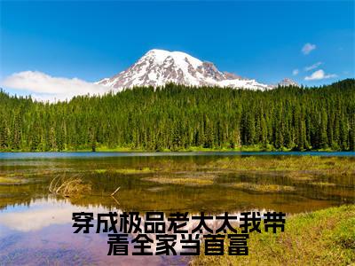 穿成极品老太太我带着全家当首富(唐森)全文免费阅读无弹窗大结局_唐森小说最新章节列表