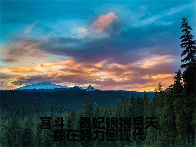 宫斗:贵妃娘娘每天都在努力回现代小说(宋如澈)全文免费阅读-宫斗:贵妃娘娘每天都在努力回现代全文阅读无弹窗