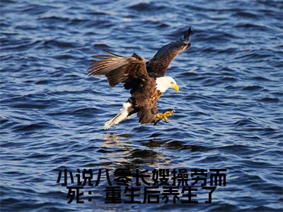  宋言之裴聿琛小说（八零长嫂操劳而死：重生后养生了）全文免费阅读- 宋言之裴聿琛精彩章节在线阅读