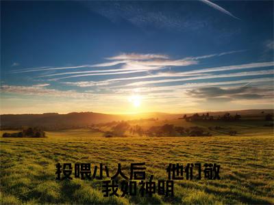 投喂小人后，他们敬我如神明（楚风全文在线阅读）-投喂小人后，他们敬我如神明(楚风)免费阅读无删减大结局