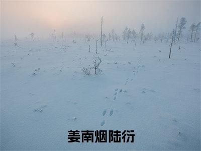 姜南烟陆衍（姜南烟陆衍）全文免费阅读无弹窗_姜南烟陆衍全文免费阅读无弹窗最新章节列表笔趣阁