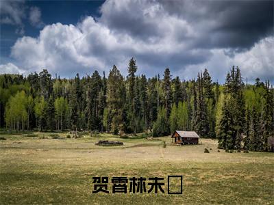 （贺霄林未晞）全网热搜是什么小说_贺霄林未晞小说（林未晞贺霄）热门章节阅读无弹窗_笔趣阁（林未晞贺霄）